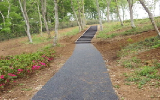 施工写真：遊歩道完成