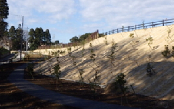 施工写真：土砂崩壊予防工事